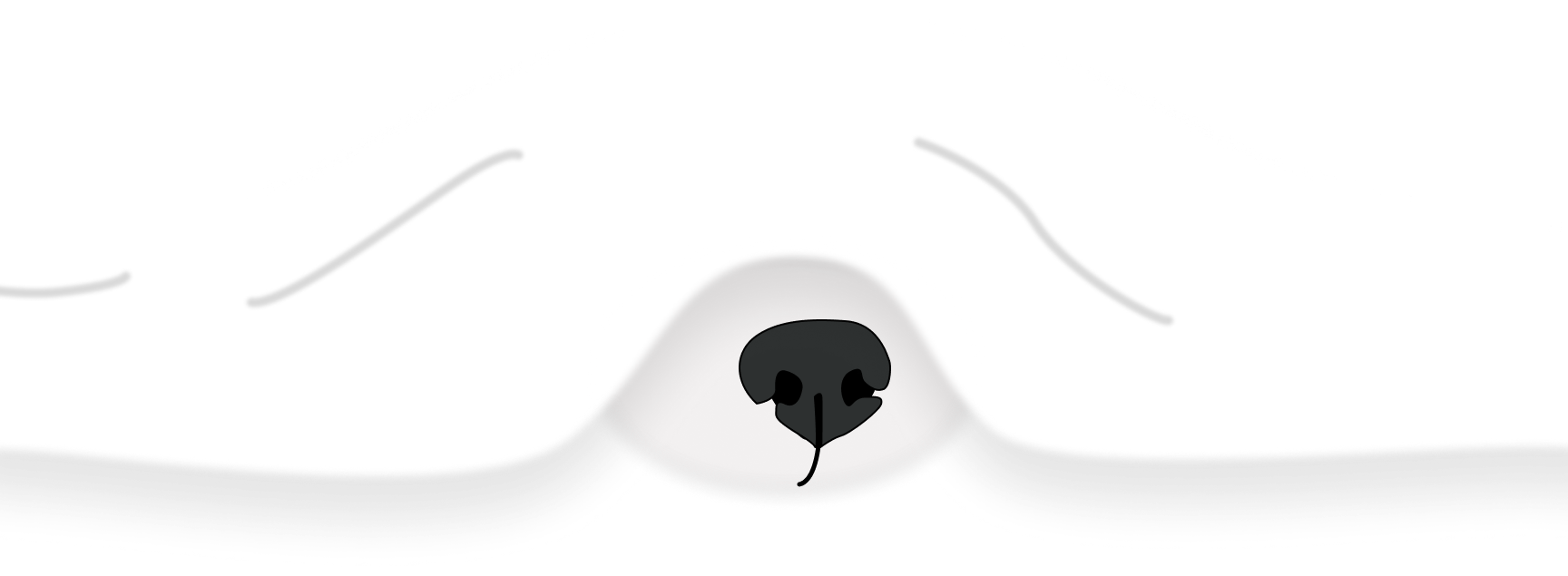Dog nose